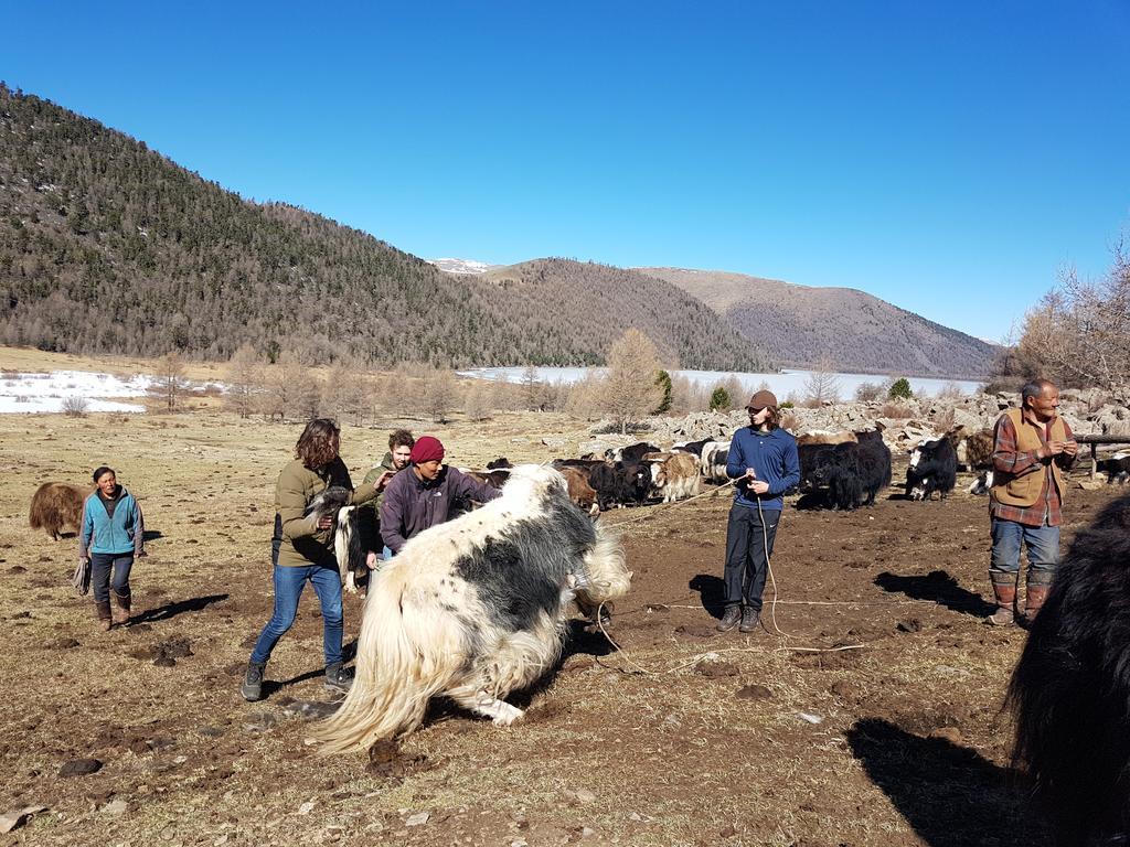Vast Mongolia Tour & Hostel أولان باتور المظهر الخارجي الصورة