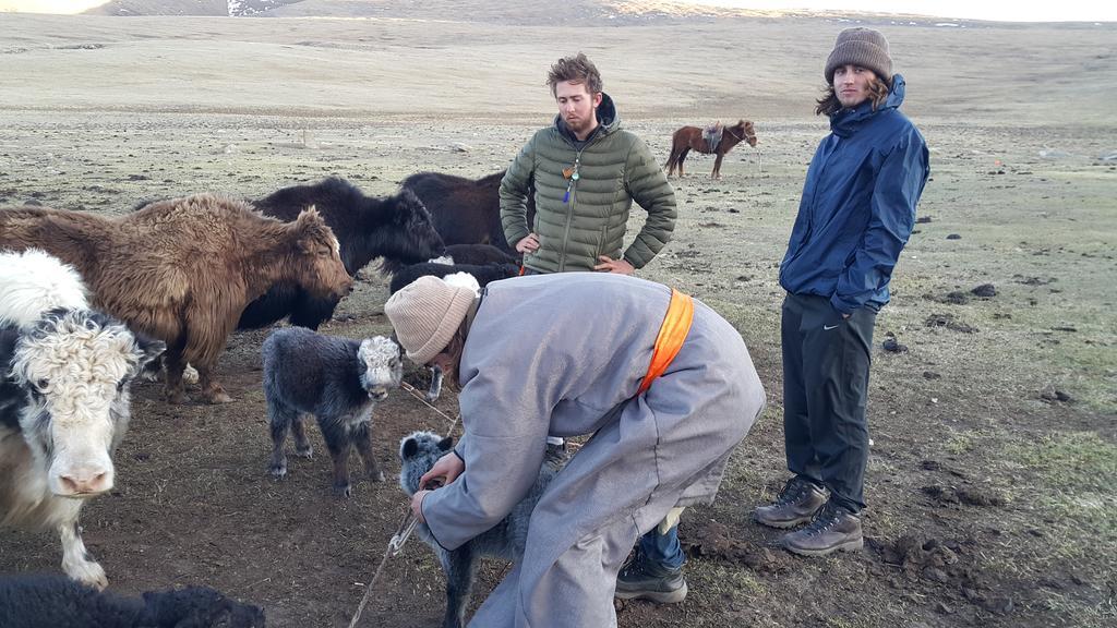 Vast Mongolia Tour & Hostel أولان باتور المظهر الخارجي الصورة