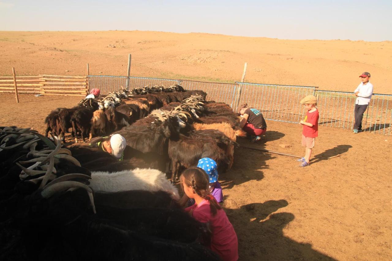 Vast Mongolia Tour & Hostel أولان باتور المظهر الخارجي الصورة